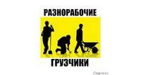 Разнорабочие Москва и обл