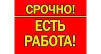 Помощник руководителя в интернет магазин
