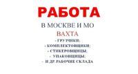 Вахта в Москву