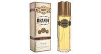 Туалетная вода мужская Today Parfum Cigar's Brandy 100 мл