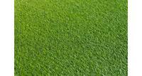 Искусственный газон CCGRASS Fantas 18мм 200x100см