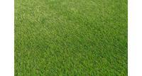 Искусственный газон CCGRASS Fantas 30мм, 200x100см